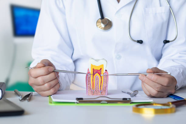 Best Emergency TMJ Treatment in Creola, AL